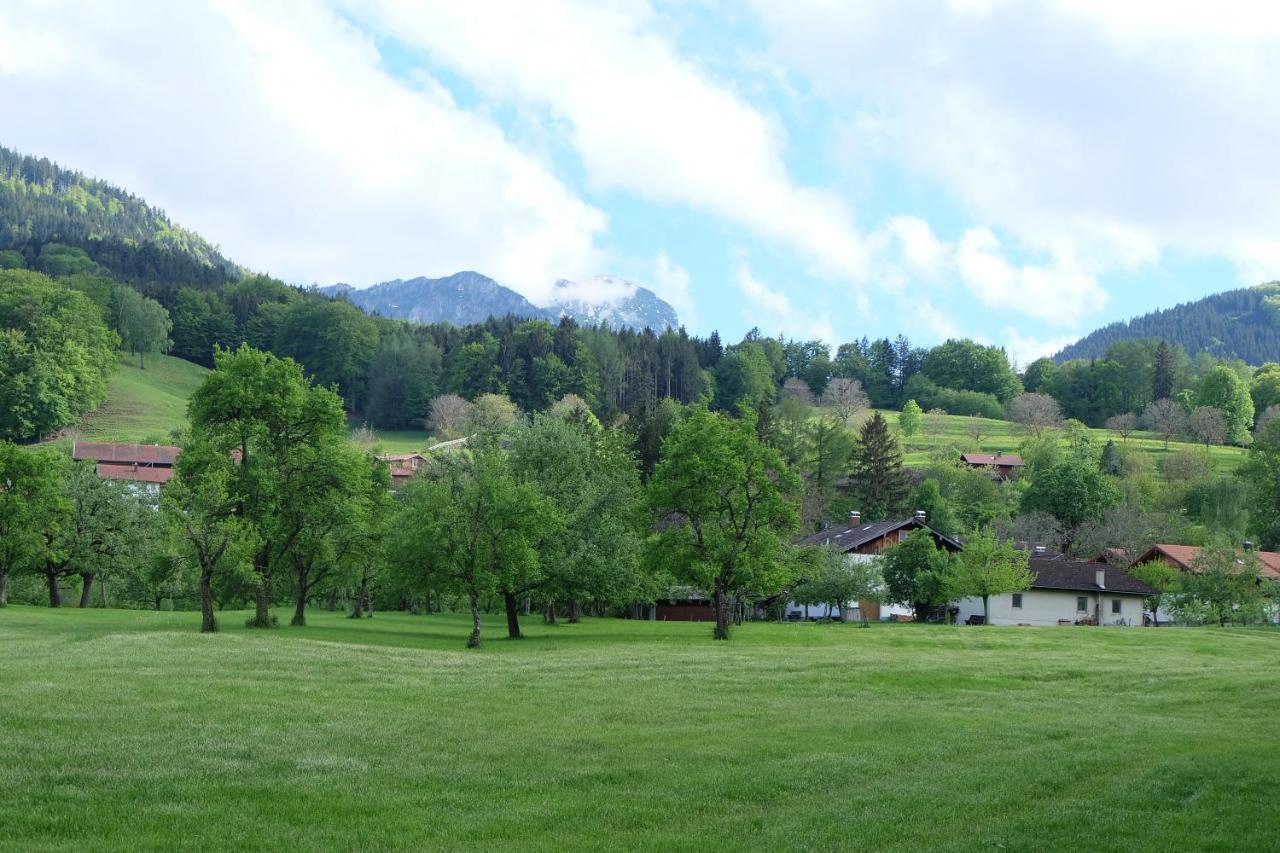 Appartamento Am Jenbach Bad Feilnbach Esterno foto