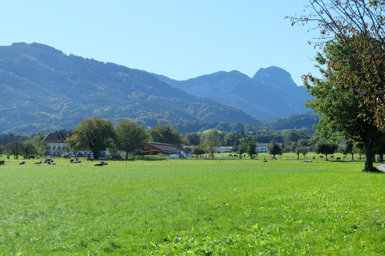 Appartamento Am Jenbach Bad Feilnbach Esterno foto